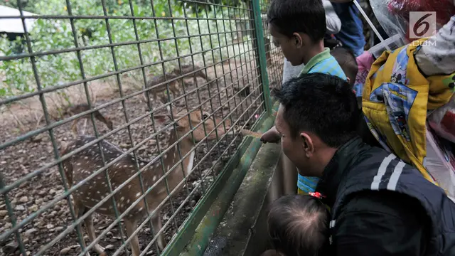 Lebaran Ke-2, Kebun Binatang Ragunan Penuh Pengunjung