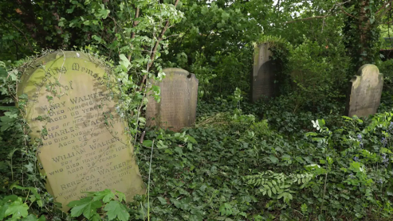 Most Haunted (0)