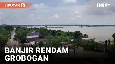 Ribuan Rumah dan Puluhan Hektar Sawah Terendam Banjir di Grobogan Jawa Tengah