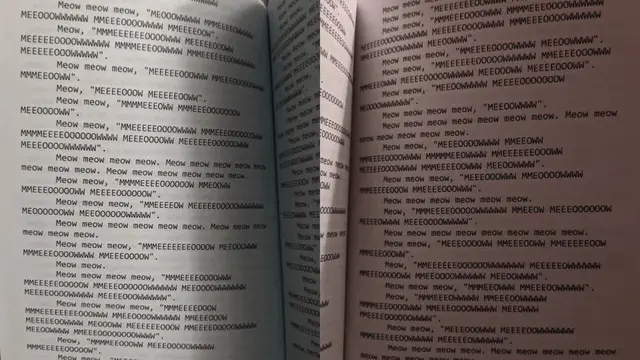 Viral Buku Tentang Kucing yang Isinya hanya Meow, Warganet Bantu Terjemahkan