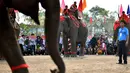 Penonton menunggu dimulainya perlombaan gajah selama festival gajah Buon Don di Provinsi Dak Lak, Vietnam pada 12 Maret 2019. Sebelum berlomba, gajah-gajah peserta lomba ini diperlakukan istimewa. (Manan VATSYAYANA/AFP)