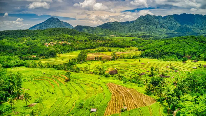 [Fimela] wisata alam