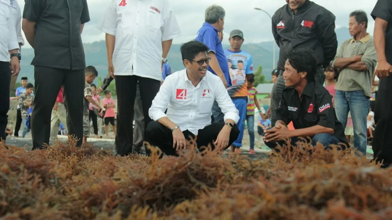 Ichsan Yasin Limpo Sambangi Petani Rumput Laut di Basis Rivalnya (Liputan6.com/ Eka Hakim)