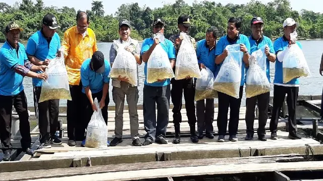 Ikan