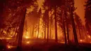Dalam foto eksposur panjang ini menunjukkan Caldor Fire membakar pepohonan di Mormon Emigrant Trail sebelah timur Sly Park, California, Amerika Serikat, Selasa (17/8/2021). Kebakaran hutan mengancam untuk menyebarkan ke beberapa wilayah di California utara. (AP Photo/Ethan Swope)