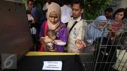 Anak orangutan dan beruang madu diperlihatkan petugas saat rilis barang bukti dugaan tindak pidana di bidang Konservasi Sumber Daya Alam (KSDA) hayati dan ekosistemnya di Polda Metro Jaya, Jakarta, Selasa (4/4). (Liputan6.com/ Immanuel Antonius)