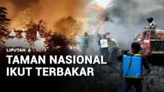 Taman Nasional Ikut Terbakar