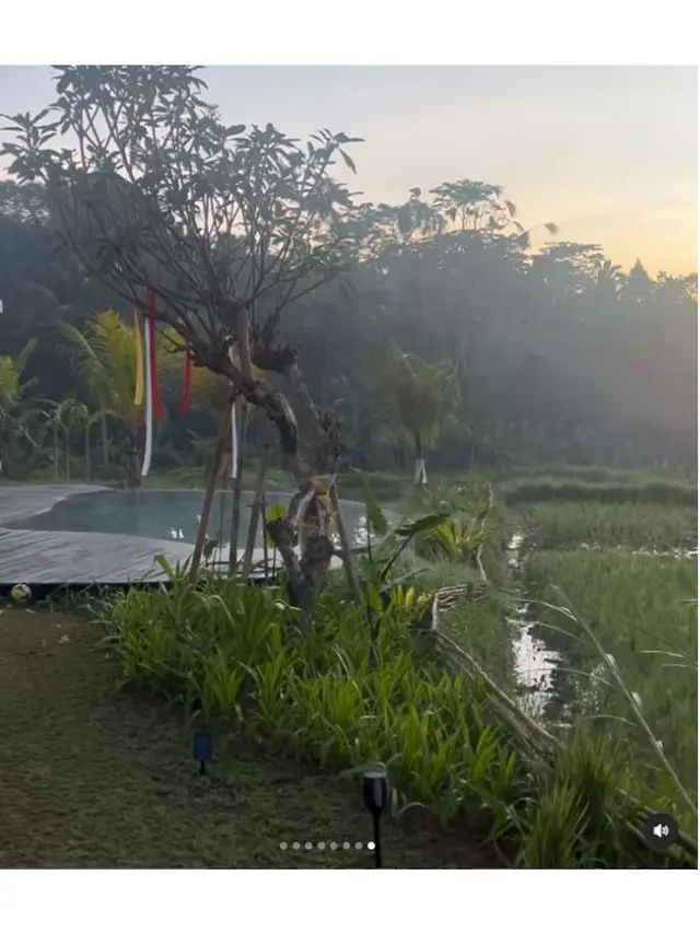 6 Potret Rumah Ayah Christian Sugiono di Bali, Sejuk dengan Pemandangan Sawah