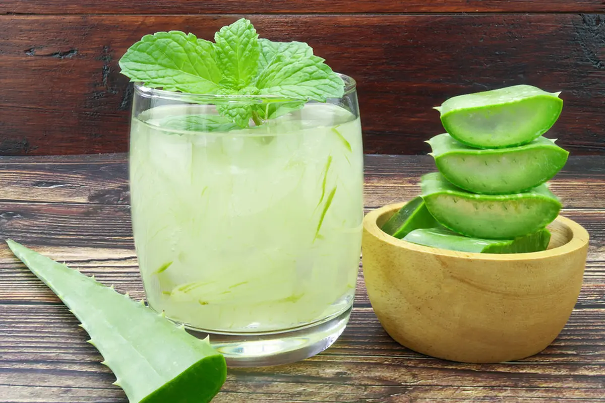 resep minuman lidah buaya sehat