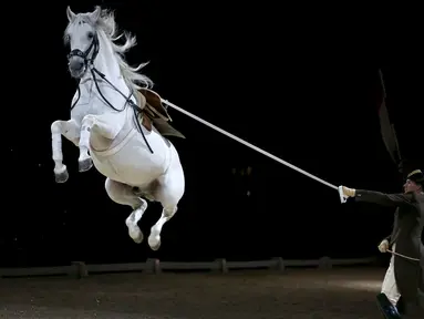 Penunggang melatih kudanya untuk melompat saat gladi resik untuk memperingati ulang tahun Spanish Riding School of Vienna yang ke-450 di SSE Arena di London, Inggris (10/11). Kuda yang digunakan adalah kuda keturunan asli Spanyol. (Reuters/Peter Nicholls)