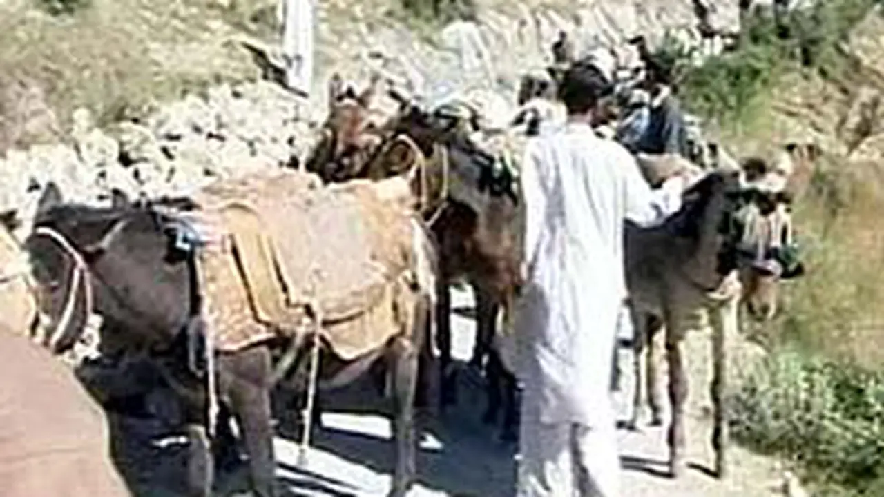 231005alngempapakistan2.jpg