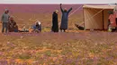 Orang-orang berkumpul di gurun pasir yang dipenuhi bunga lavender di kota Rafha, dekat perbatasan dengan Irak, pada 13 Februari 2023. Di seberang padang pasir, para pengunjung mendirikan tenda dan memasak makanan di atas api terbuka. (Fayez Nureldine / AFP)