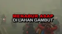 Sigi Investigasi: Menabur Asap di Lahan Gambut
