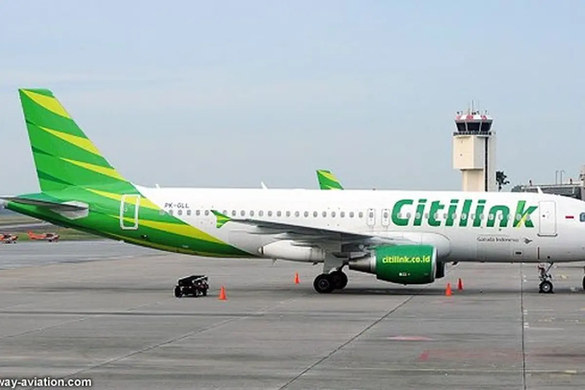 citilink-130503c.jpg