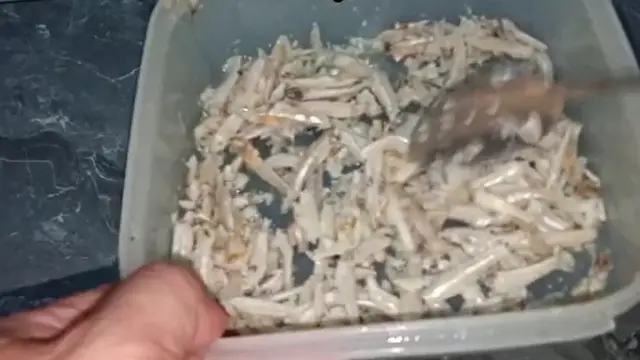 Hanya dengan 1 Bahan, Ini Cara Efektif Kurangi Rasa Asin pada Ikan Teri