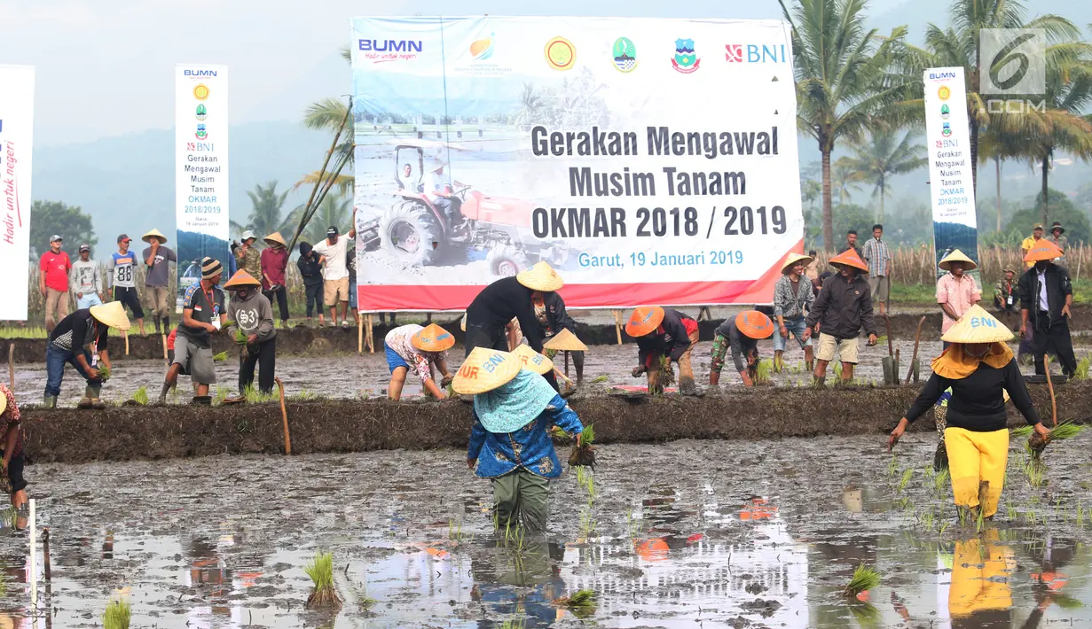 Sejumlah petani saat mengikuti Gerakan Mengawal Musim Tanam Okmar 2018/2019 di Desa Leuwigoong, Garut, Jawa Barat, Sabtu (19/1). (Liputan6.com/Angga Yuniar)