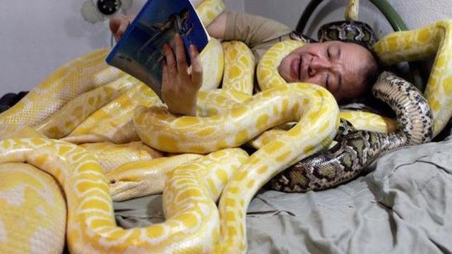 4 Kisah Orang Berani Tidur Tiap Malam Bersama Ular, Hampir Berakhir Tragis