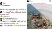6 Cerita Netizen Hamster Peliharaannya Mati Ini Bikin Sedih tapi Lucu