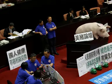 Sebuah boneka babi ditempatkan di ruang legislatif untuk menentang kebijakan impor daging babi di Taipei , Taiwan 31 Mei 2016. Boneka babi tersebut diletakkan oleh legislator Kuomintang. (REUTERS / Tyrone Siu)