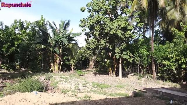 Hampir Rampung, Ini 6 Potret Rumah Baru Mimi Peri yang Disebut Bak Istana