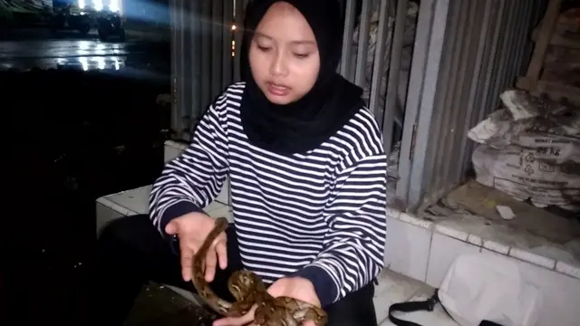 Pritta saat memegang ular piton kecil miliknya. (Liputan6.com/Ahmad Adirin)
