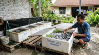 TOP 3: Ide Ternak Mini, Jenis Pohon Buah Ditanam di Ban Bekas Motor dan Model Warung Pecel Lele