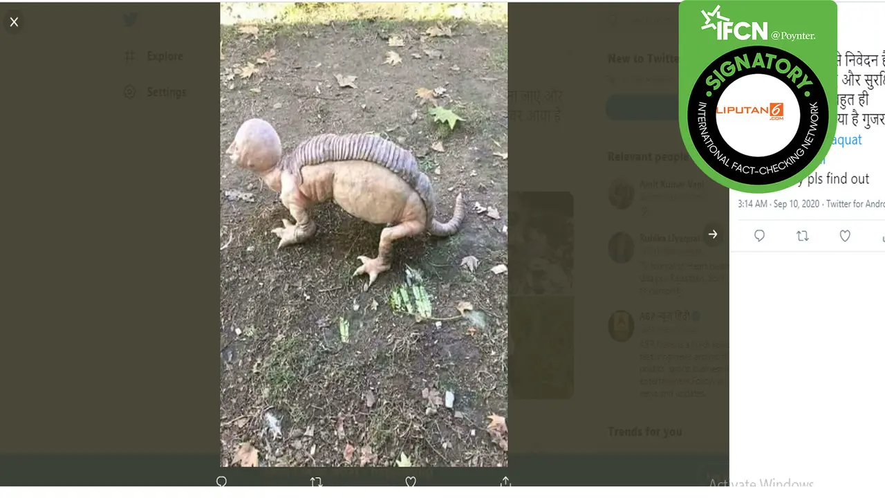 hoaks hewan berkepala manusia.