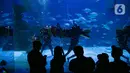 Pengunjung menyaksikan pemain Liong beratraksi di Jakarta Aquarium & Safari (JAQS), Jakarta Barat, Jumat (12/2/2021). Pertunjukan Liong Show bawah air yang diikuti oleh para putri duyung tersebut untuk memeriahkan Hari Raya Imlek 2572 atau Tahun Baru China. (Liputan6.com/Faizal Fanani)
