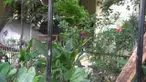 Seorang bocah meninggalkan tasnya di sebuah kebun. Kemudian tas tersebut dicurigai sebuah bom.