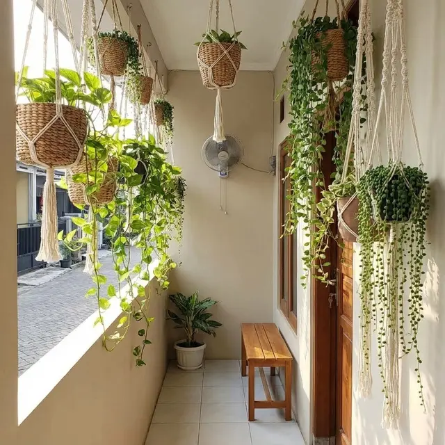Kebun Mini Teras