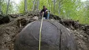 Suad Keserovic mengukur bola batu temuannya di dalam hutan di Desa Podunavlje, Zavidovici, Bosnia dan Herzegovina, Senin (11/4). Pria itu mengklaim bola batu berdiameter 3,30 meter tersebut memiliki berat sekitar 35 ton. (REUTERS/Dado Ruvic)