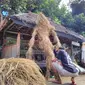 Para pemuda membuat hantu sawah untuk menghiasi seluruh jalan dan lorong desa Kepuk, Kecamatan Bangsri, Jepara. (foto: Liputan6.com/edhie prayitno ige)