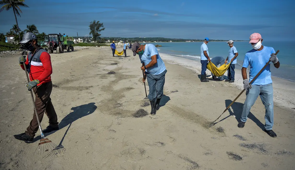 Para pekerja dengan mengenakan masker membersihkan pantai di Havana pada Senin (15/6/2020). Kuba akan menguji semua pelancong untuk Covid-19 dan membatasi kontak mereka dengan penduduk setempat ketika perbatasan dibuka kembali untuk turis asing. (Yamil LAGE / AFP)