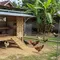 Kandang Ayam Permanen vs Bongkar Pasang, Mana yang Lebih Hemat?