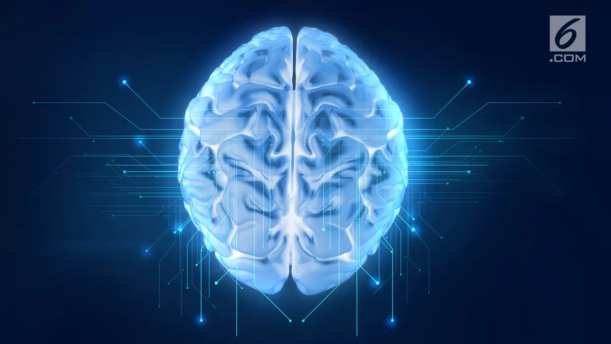 Berita Fungsi Otak Besar dan Otak Kecil Hari Ini - Kabar Terbaru