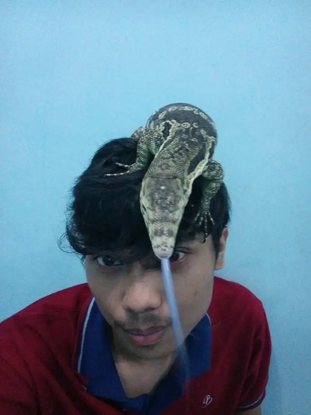 7 Potret Selfie Bareng Hewan di Muka, Bikin Merinding