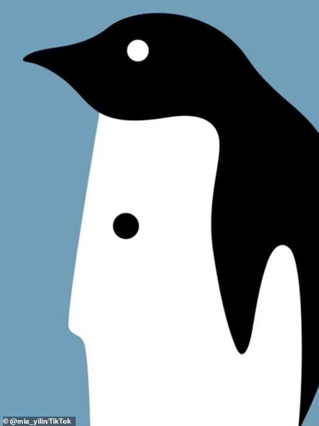 Tes kepribadian yang menunjukkan gambar seorang pria dan seekor penguin. (TikTok/mia.yilin)