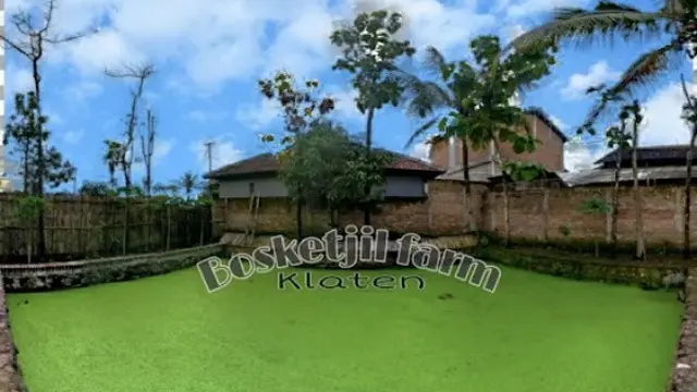 Budidaya Azolla dan Ikan Nila/ Photo by  BosKetjil Farm