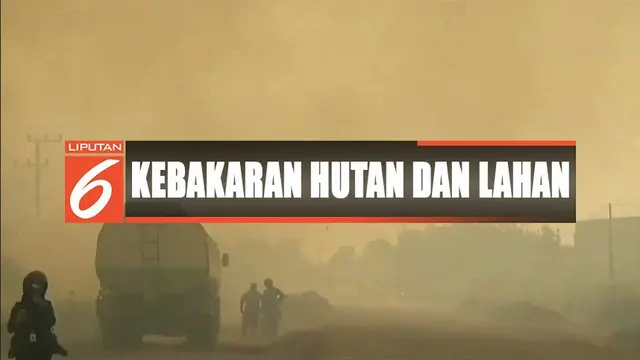 200 hektare lahan gambut di Kota Sampit, Kalimantan Tengah, terbakar bahkan mulai mendekati permukiman warga.