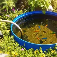 Ilustrasi Kolam Ikan Kecil dari Tong Air (Ilustrasi Gambar oleh AI)