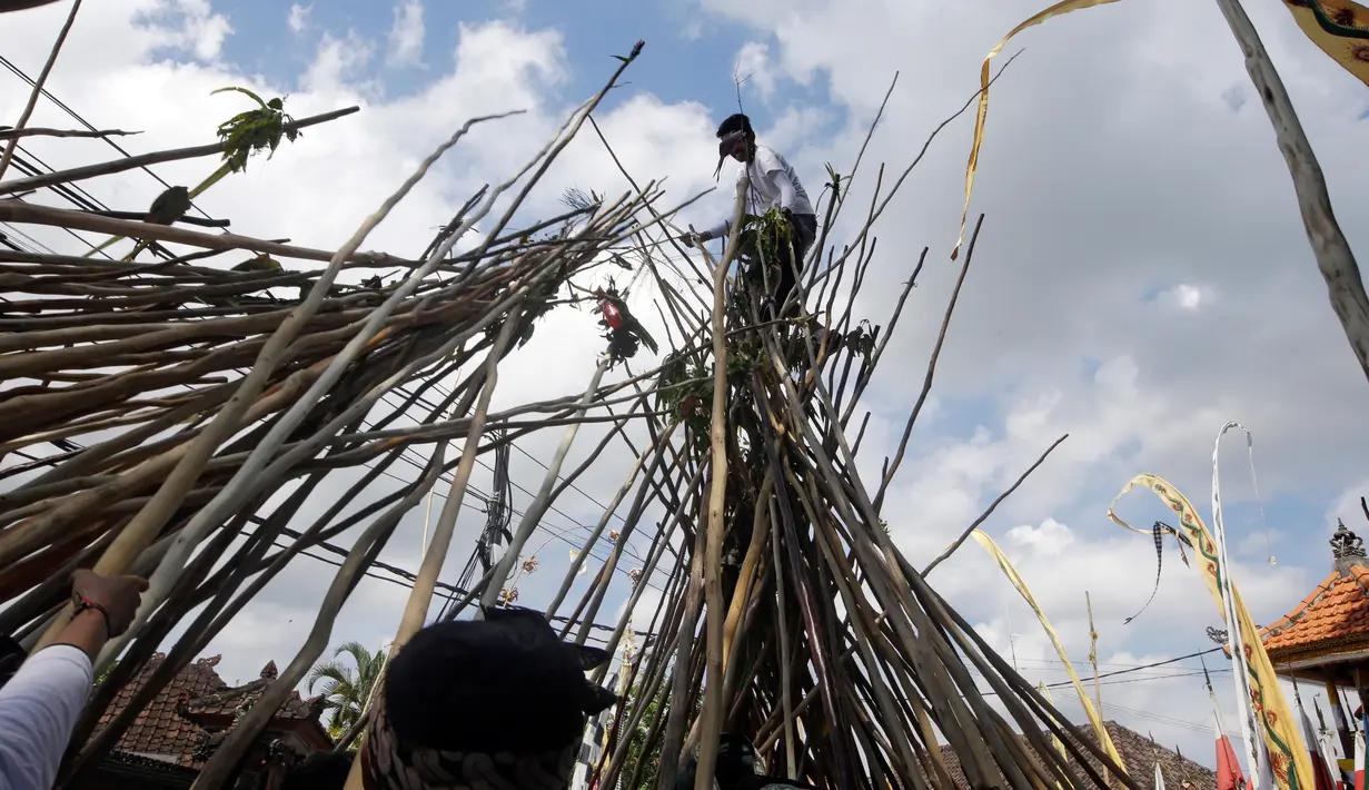 Seorang pria berada diatas puncak tongkat saat ritual Mekotek di Bali (11/11). Peserta yang terkena pukulan tongkat harus merelakan dirinya untuk naik ke kumpulan tongkat dari para peserta yang lain. (AP Photo/Firdia Lisnawati)