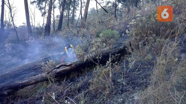 Kewalahan di Jalur Darat, Pemadaman Kebakaran Gunung Arjuno Pakai Operasi Udara