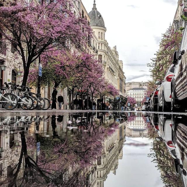 8 Jepretan Suasana Kota di Genangan Air Ini Unik, Terlihat Bak Lukisan