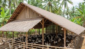 Desain Kandang Bebek Sederhana yang Tetap Kering Saat Hujan (Sumber: gemini.com)