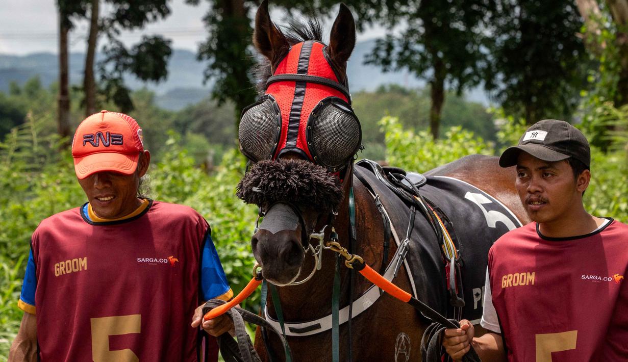 Piala Raja HB X 2025 merupakan penyelenggaraan ke-15 sejak pertama kali dilangsungkan pada tahun 2009. Tampak dalam foto, seekor kuda dipersiapkan sebelum berkompetisi dalam kejuaraan balap kuda nasional tahunan yang memperebutkan trofi Sultan Hamengku Buwono X, di lintasan Sultan Agung, Bantul, Yogyakarta, pada Minggu 9 November 2025. (DEVI RAHMAN/AFP)
