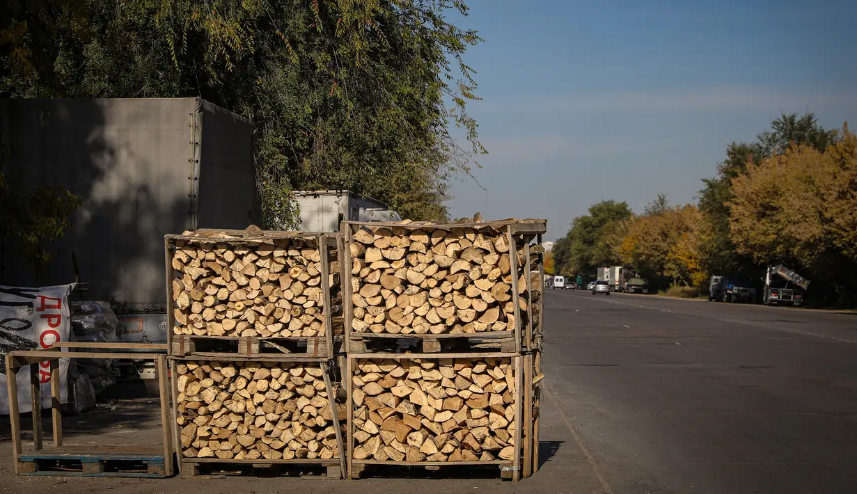 Palet kayu bakar yang dijual diletakkan di pinggir jalan di luar Chisinau, Moldova, 15 Oktober 2022. Krisis energi yang melanda Eropa karena dipicu pemotongan aliran gas alam oleh Rusia di tengah perangnya melawan Ukraina telah memaksa beberapa orang untuk beralih ke kayu bakar untuk menghangatkan diri dalam cuaca yang beranjak dingin. (AP Photo/Aurel Obreja)