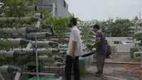 Jemaah yang mengurus tanaman hidroponik di atap Masjid Baitussalam Jakarta Barat ini mampu memanen 30 kg sayur dalam sekali panen. (Foto: Liputan6.com).