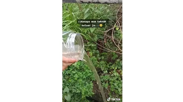 Alami Kejadian Mistis, Pemancing Ini Lepas Kembali 27 Ikan ke Sungai