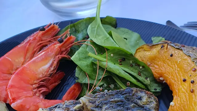 Sydney Oyster Farm Tour