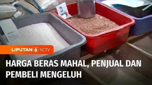 VIDEO: Penjual dan Pembeli Mengeluh, Harga Beras di Jakarta Masih Tinggi